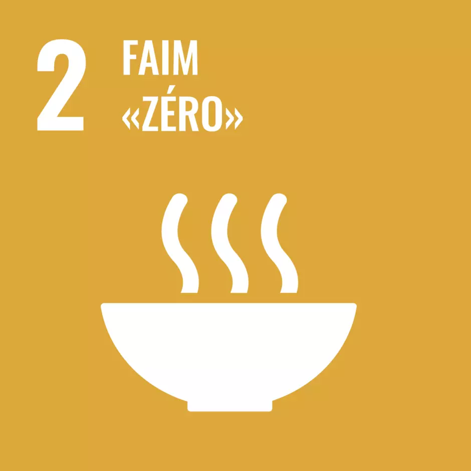 Pictogramme de l'objectif de développement durable de l'ONU : faim zéro