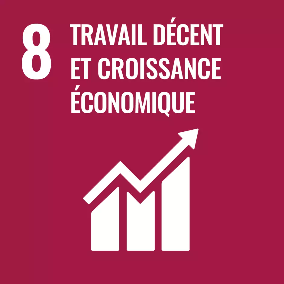 Pictogramme de l'objectif de développement durable de l'ONU : travail décent et croissance économique