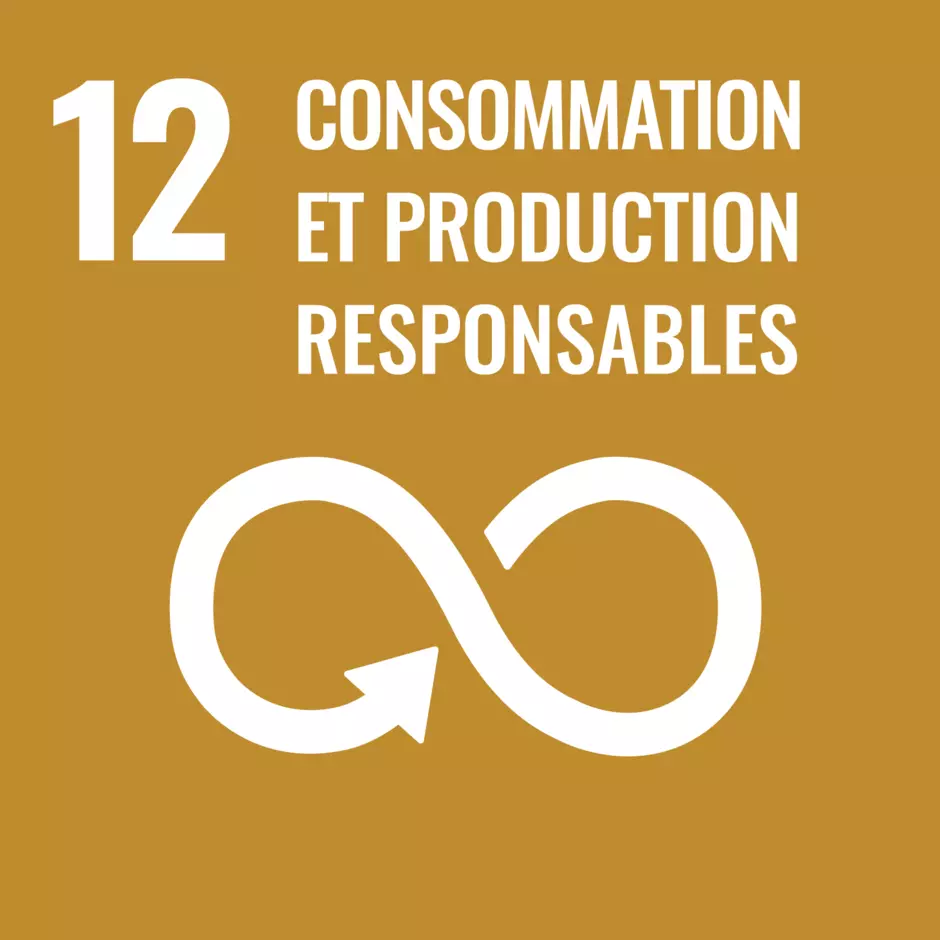 Pictogramme de l'objectif de développement durable de l'ONU : Consommation et production responsables