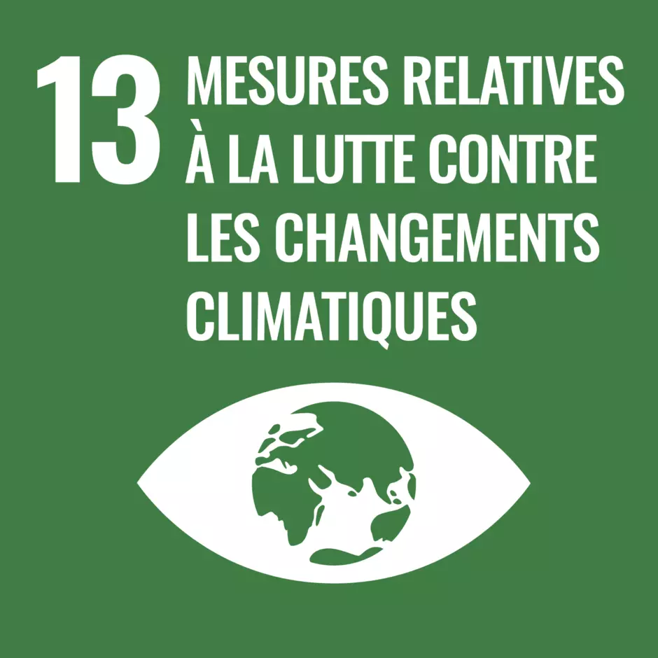 Pictogramme de l'objectif de développement durable de l'ONU : Mesures relatives à la lutte contre les changements climatiques