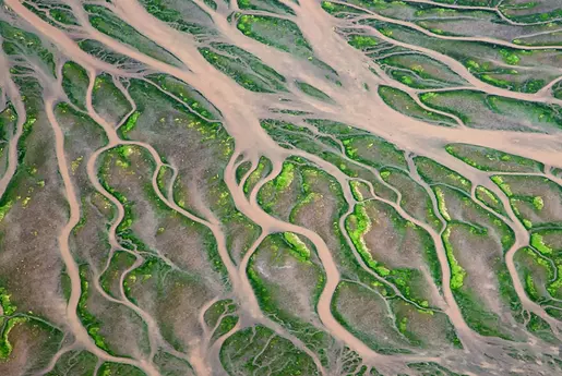 Delta de fleuve - Et demain, quitte ou double pour l'écologie ?