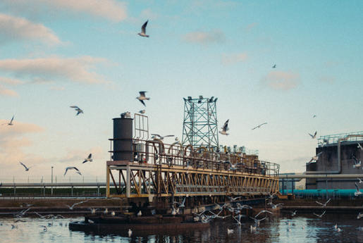 Stations d’épuration : les clés d’une gestion durable des eaux usées