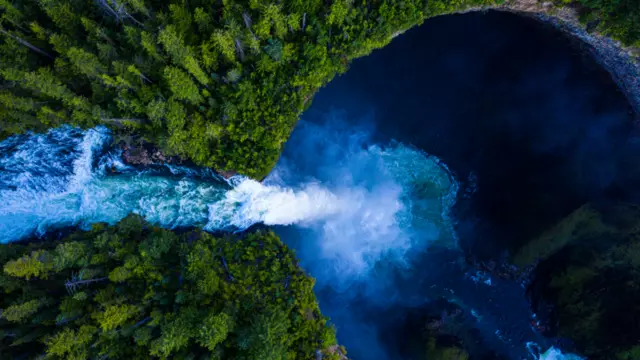 Arbres et chutes d'eau en vue aérienne