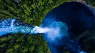 Trees and waterfalls from an aerial view