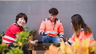 Photo of three people gardening in Hong Kong; urban agriculture